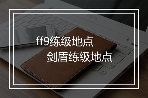ff9练级地点 剑盾练级地点