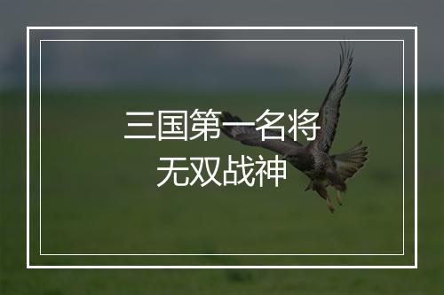 三国第一名将 无双战神